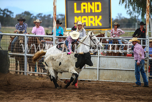 CoonambleRodeoCampdraftSun_3080