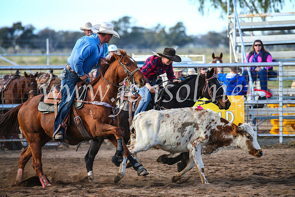 CoonambleRodeoCampdraftSun_2325