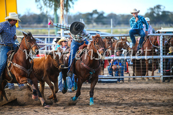 CoonambleRodeoCampdraftSun_2314