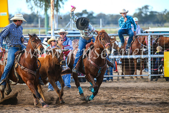 CoonambleRodeoCampdraftSun_2315