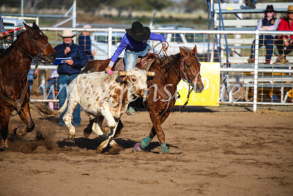 CoonambleRodeoCampdraftSun_4417
