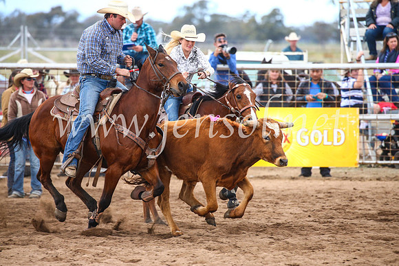 CoonambleRodeoCampdraftSun_3097