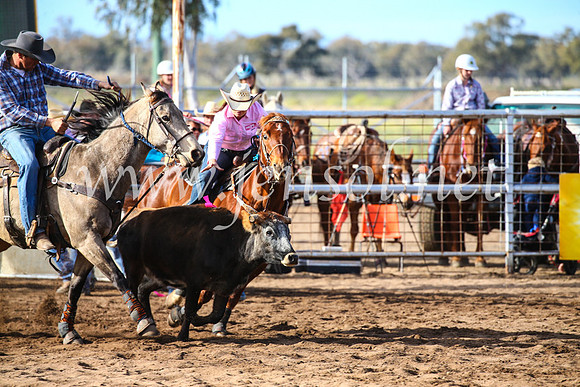 CoonambleRodeoCampdraftSun_2341