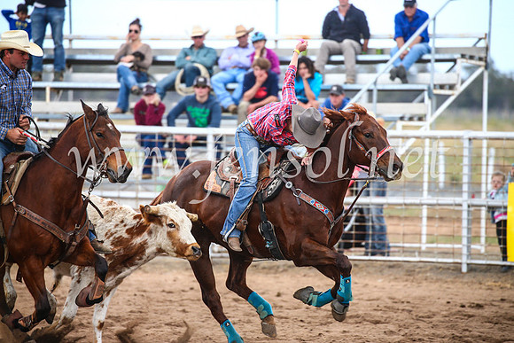 CoonambleRodeoCampdraftSun_3095