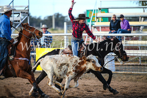 CoonambleRodeoCampdraftSun_2334