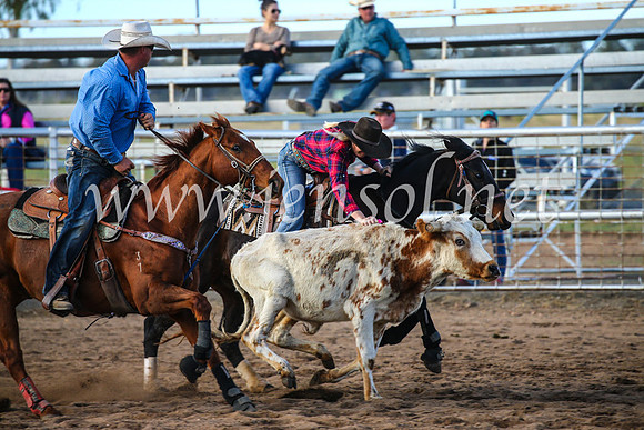 CoonambleRodeoCampdraftSun_2321