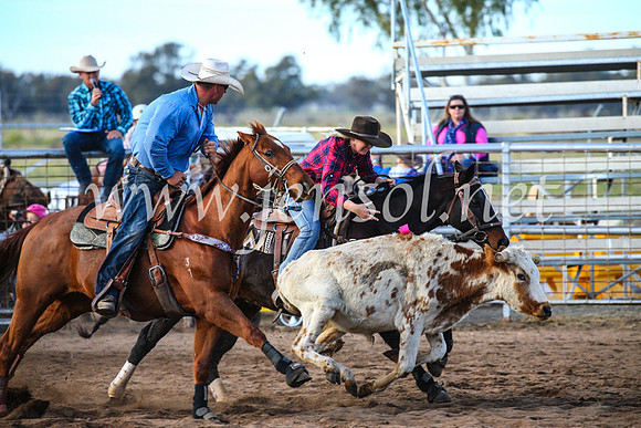 CoonambleRodeoCampdraftSun_2322