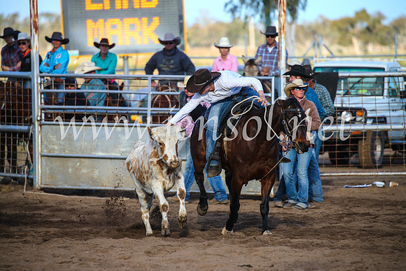 CoonambleRodeoCampdraftSun_4400