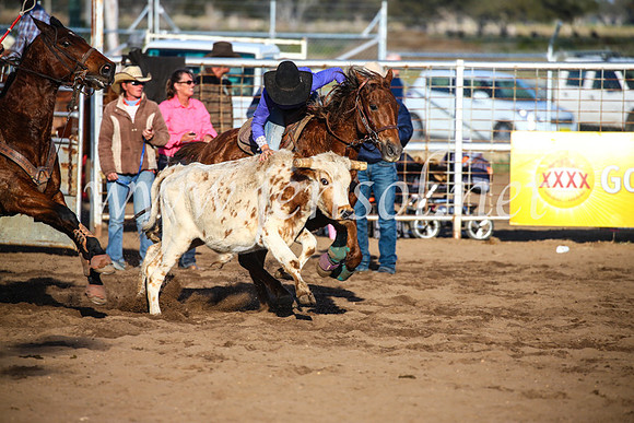 CoonambleRodeoCampdraftSun_4418