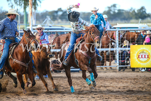 CoonambleRodeoCampdraftSun_2317