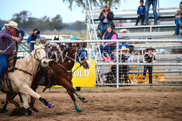 CoonambleRodeoCampdraftSun_3089
