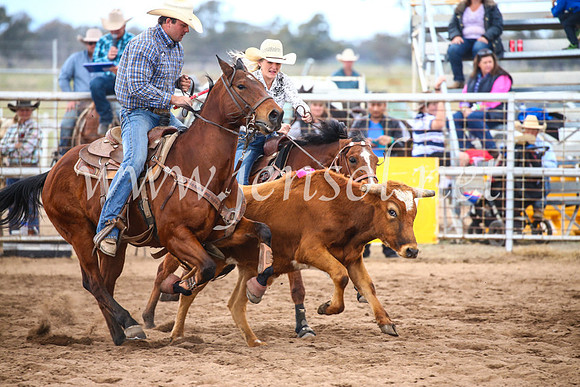 CoonambleRodeoCampdraftSun_3101