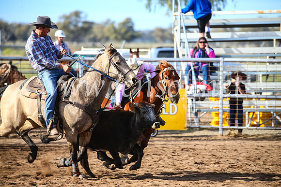 CoonambleRodeoCampdraftSun_2336