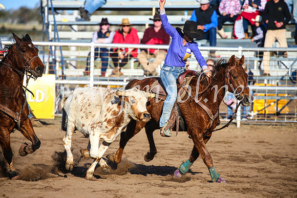 CoonambleRodeoCampdraftSun_4416