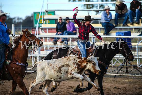 CoonambleRodeoCampdraftSun_2331