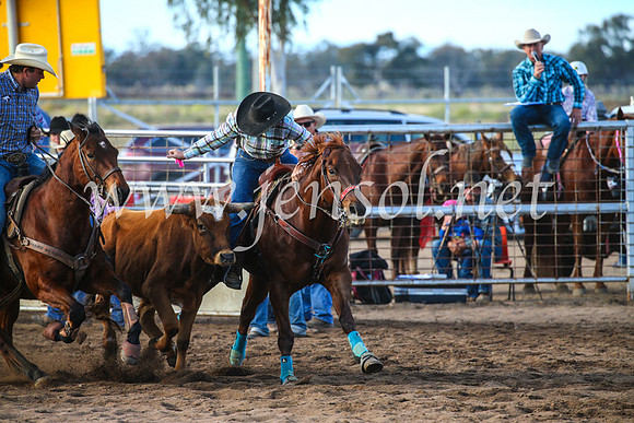 CoonambleRodeoCampdraftSun_2308
