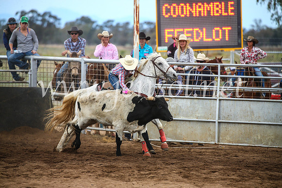 CoonambleRodeoCampdraftSun_3079