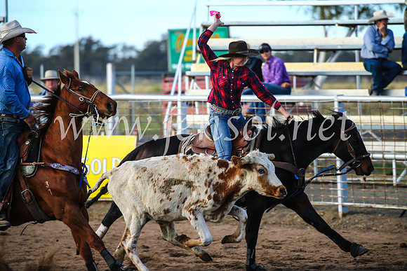 CoonambleRodeoCampdraftSun_2329