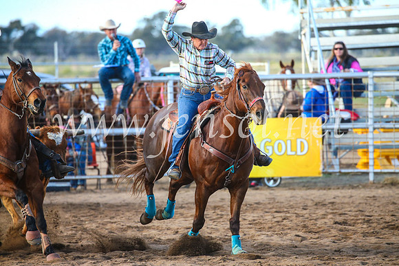 CoonambleRodeoCampdraftSun_2309