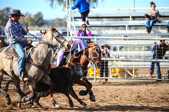 CoonambleRodeoCampdraftSun_2337