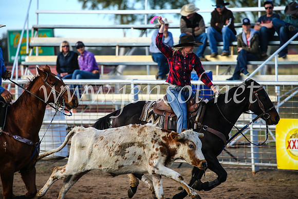 CoonambleRodeoCampdraftSun_2327