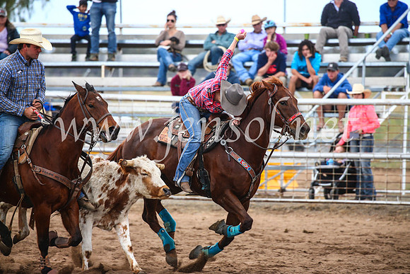 CoonambleRodeoCampdraftSun_3093