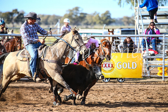 CoonambleRodeoCampdraftSun_2340
