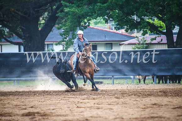 OrangeCampdraft2017Sun_7249