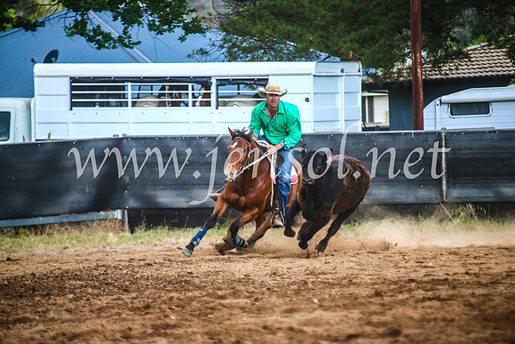 OrangeCampdraft2017Sun_7307