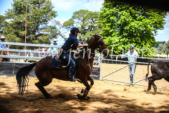OrangeCampdraftSun_9509