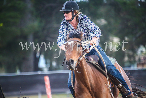 OrangeCampdraft2017Sun_7288