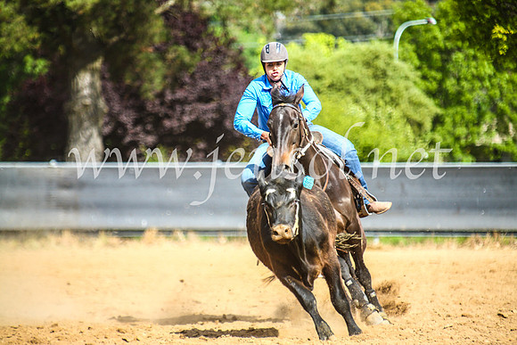 OrangeCampdraftSun_0000