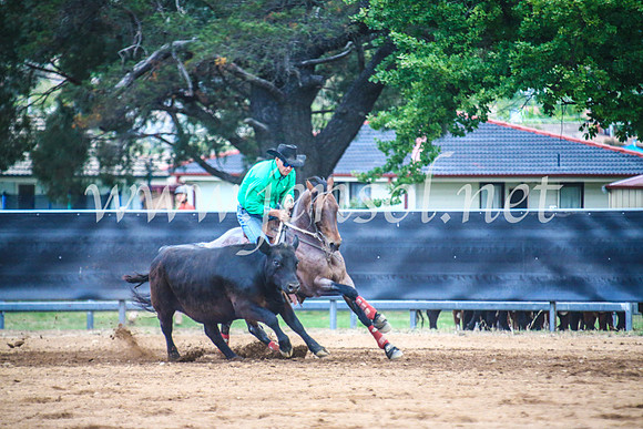 OrangeCampdraft2017Sun_7089