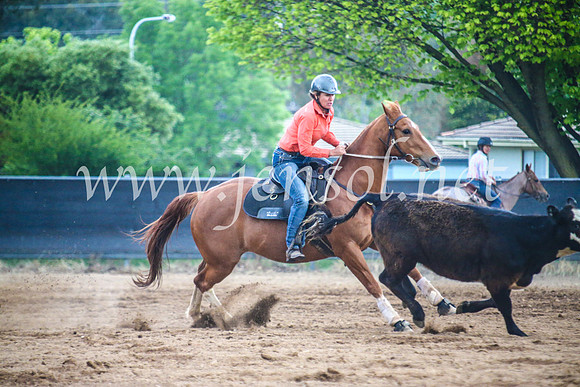 OrangeCampdraft2017Sun_7212