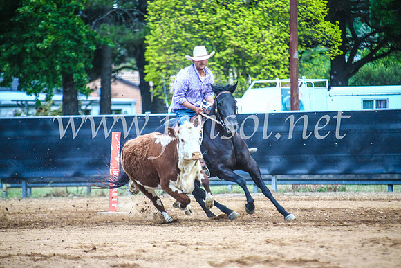 OrangeCampdraftSun_0268