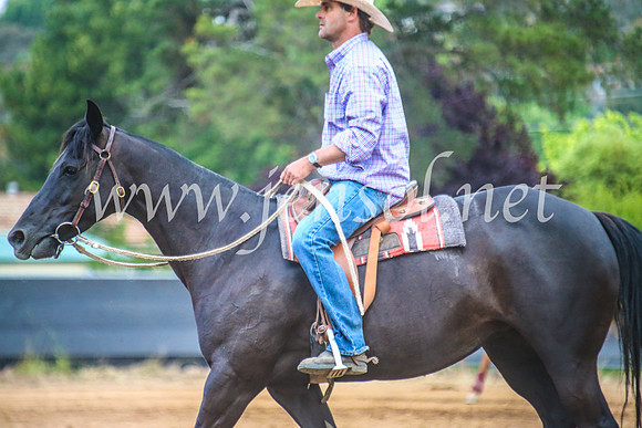 OrangeCampdraftSun_0290