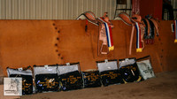 JS 007