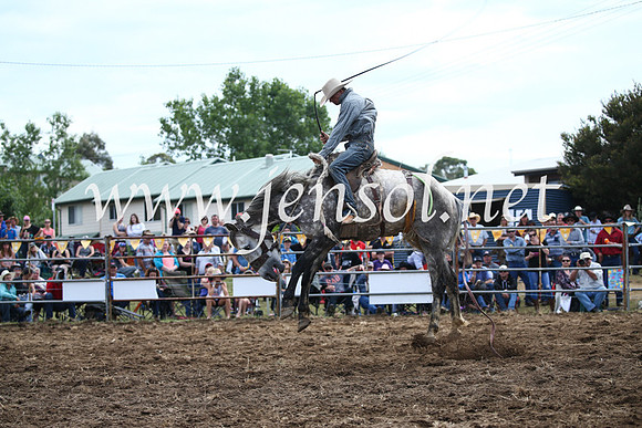 JindabyneRodeo2016_4094