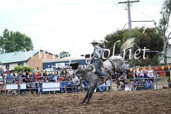 JindabyneRodeo2016_4091