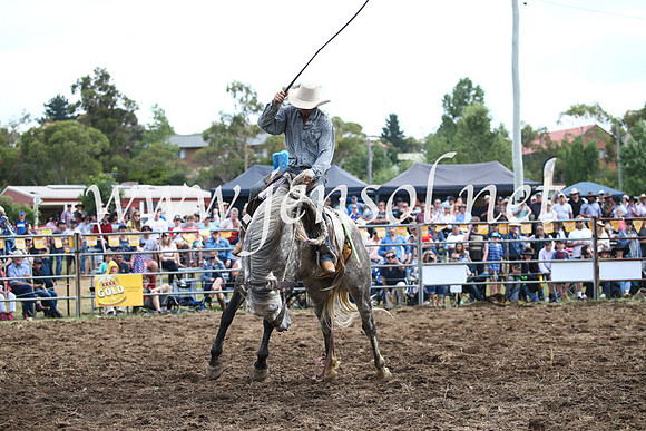 JindabyneRodeo2016_4100