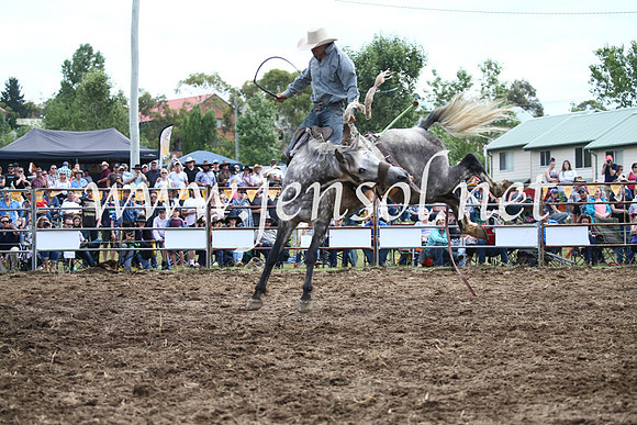 JindabyneRodeo2016_4108