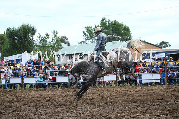 JindabyneRodeo2016_4083