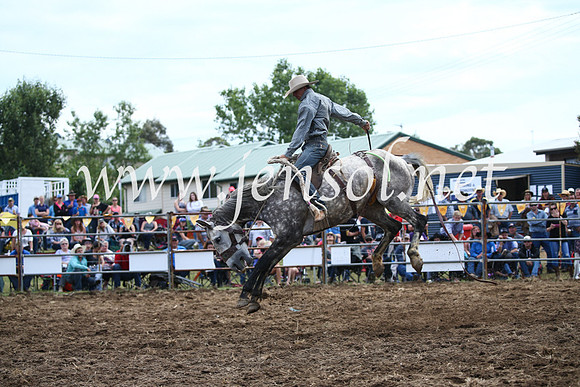 JindabyneRodeo2016_4084