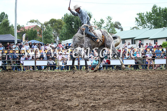 JindabyneRodeo2016_4104