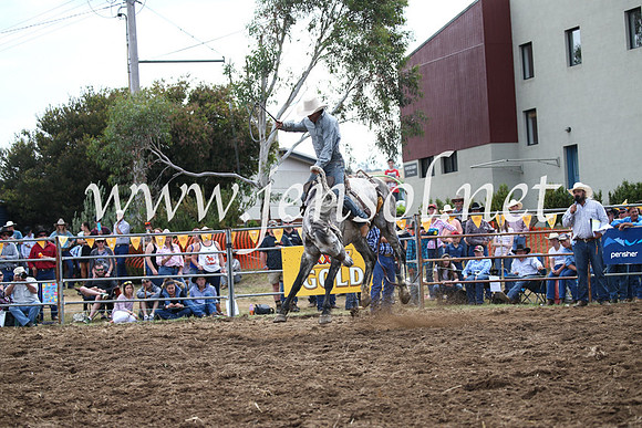 JindabyneRodeo2016_4079