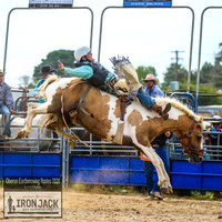 OberonRodeo2020_3555