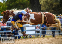 OberonRodeo2020_3606