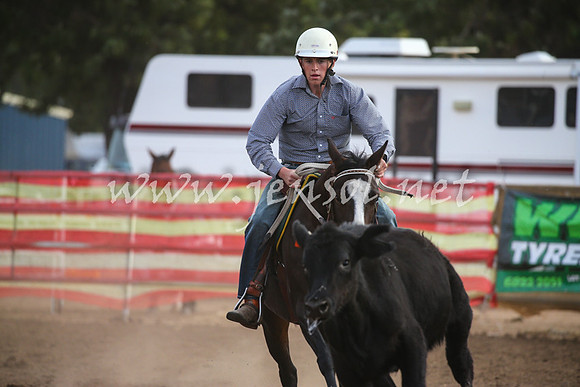 CoonambleRodeoCampdraftSat_1069