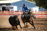 CoonambleRodeoCampdraftSat_1041