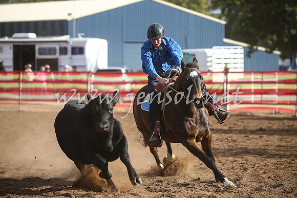 CoonambleRodeoCampdraftSat_1041